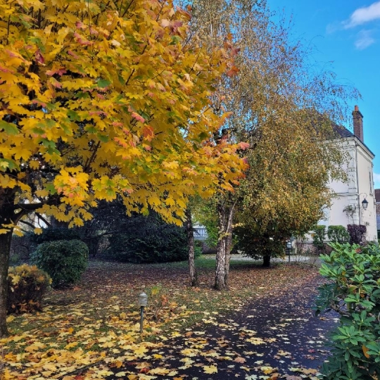  PERCHE VAL D`HUISNE IMMOBILIER : House | NOGENT-LE-ROTROU (28400) | 283 m2 | 450 000 € 