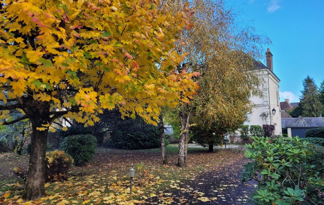 PERCHE VAL D`HUISNE IMMOBILIER : House | NOGENT-LE-ROTROU (28400) | 283 m2 | 450 000 € 