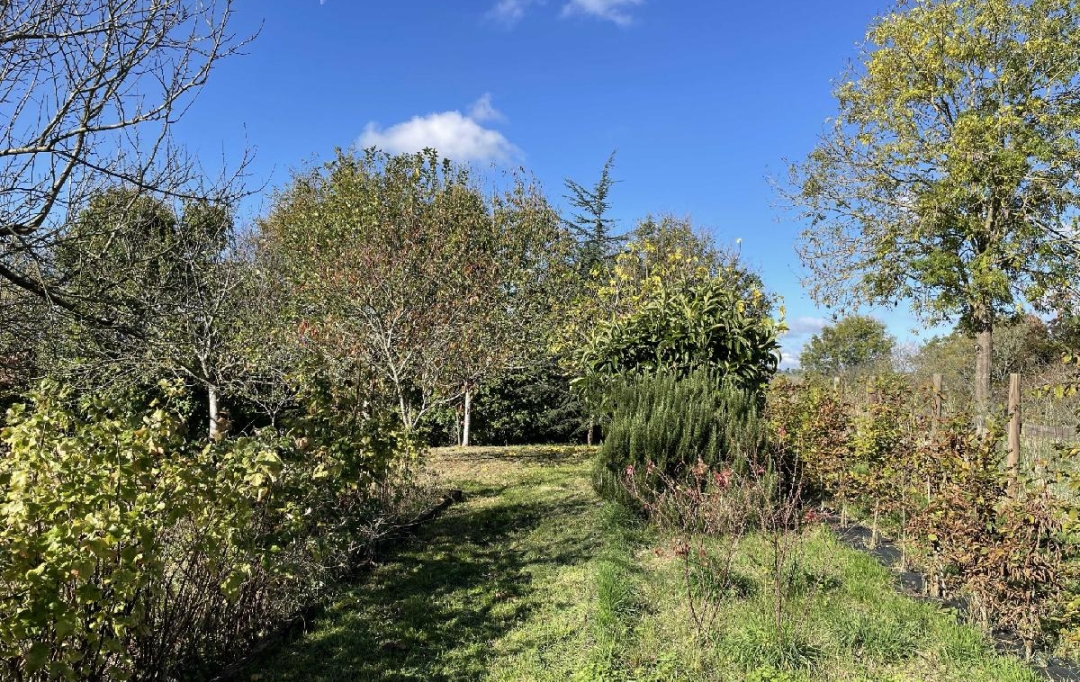 PERCHE VAL D`HUISNE IMMOBILIER : House | NOGENT-LE-ROTROU (28400) | 142 m2 | 181 900 € 