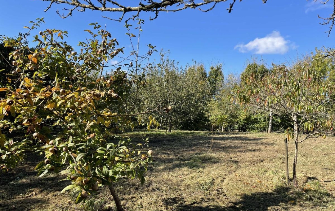 PERCHE VAL D`HUISNE IMMOBILIER : House | NOGENT-LE-ROTROU (28400) | 142 m2 | 181 900 € 